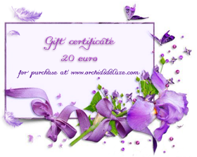Gift certificate 20 euro